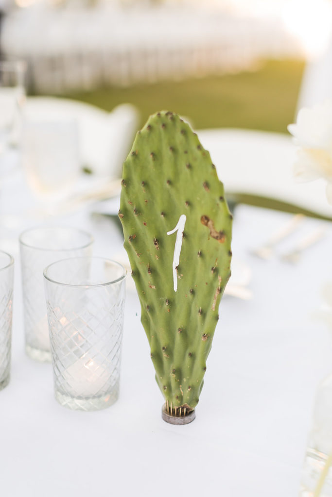 unique cactus wedding table numbers